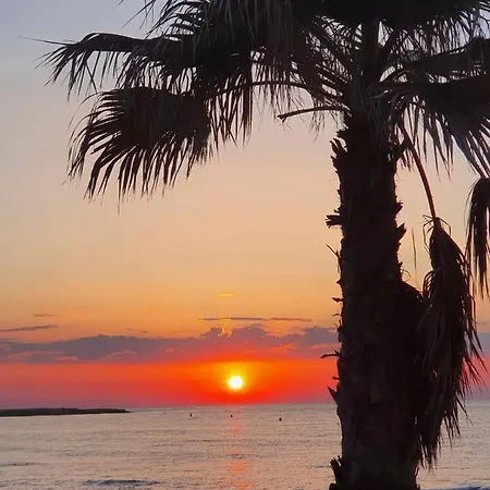 Appartement Gemuetliche In Ca100m Vom Playa Del Cura Entfernt Torrevieja